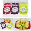 Creative Fruit Cutter/Apple Cutter Melon Slicer, for Home/Office,Green