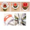 Cut watermelon fruit slicer, Stainless steel Kitchen Tool Artifact,radom color
